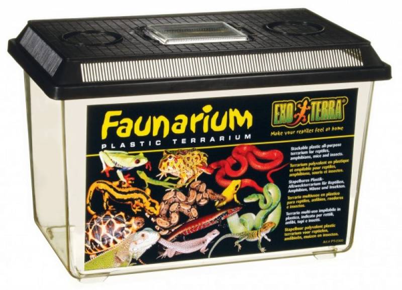 Preview: Exo Terra Faunarium